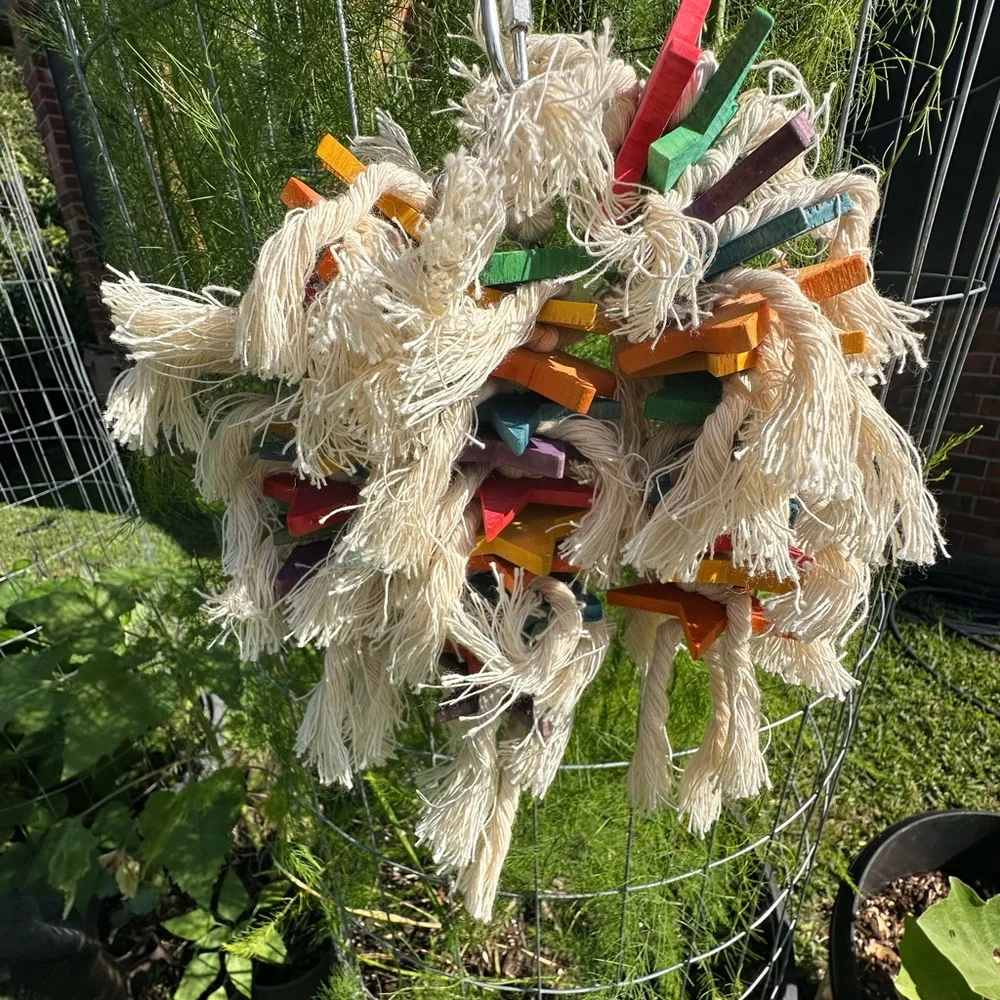 Parrot Toy - Seeing Stars